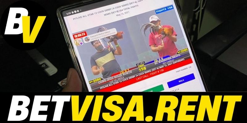 da ga betvisa cac loai da ga thinh hanh tren betvisa 3