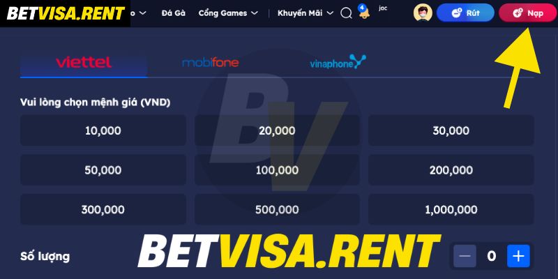 nap tien betvisa cam nang gui tien vao tai khoan betvisa 4